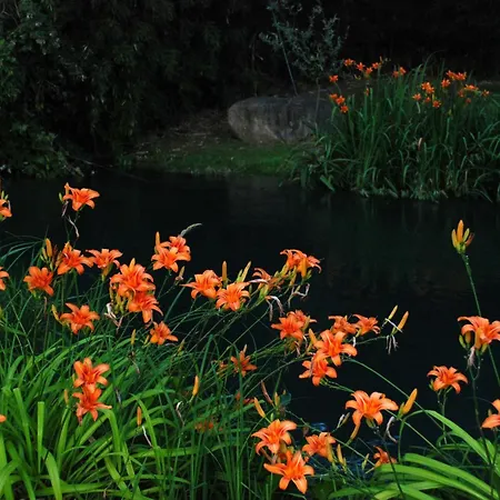 Frühstückspension La Finestra Sul Fiume Valeggio sul Mincio